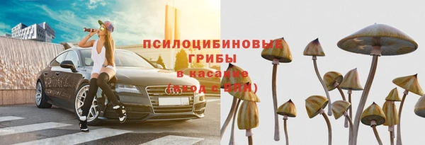трава Нефтегорск